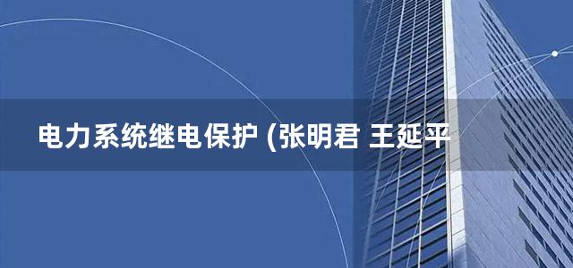 电力系统继电保护 (张明君 王延平 梅彦平) (2012)